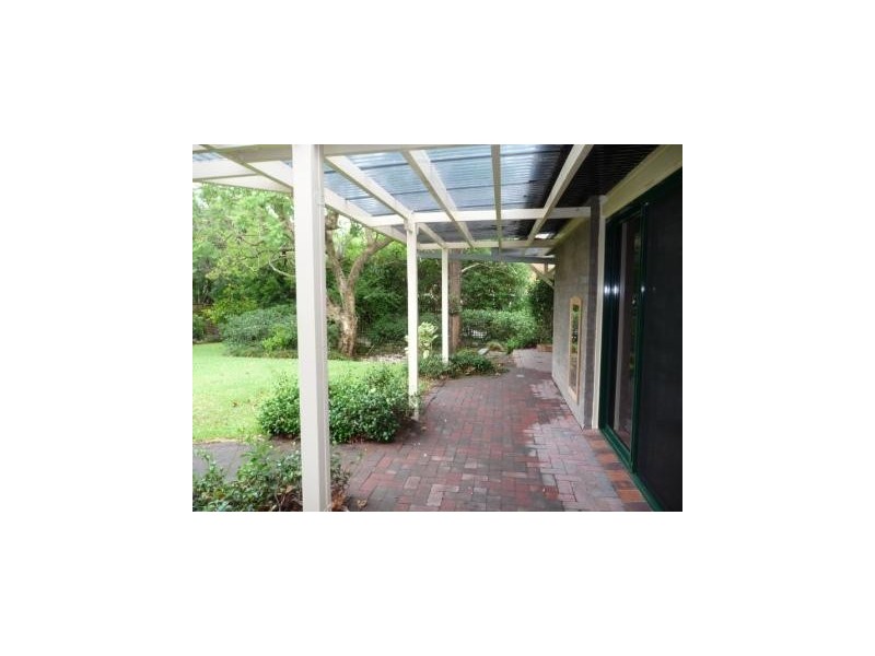 66 Babbage Road, Roseville NSW 2069