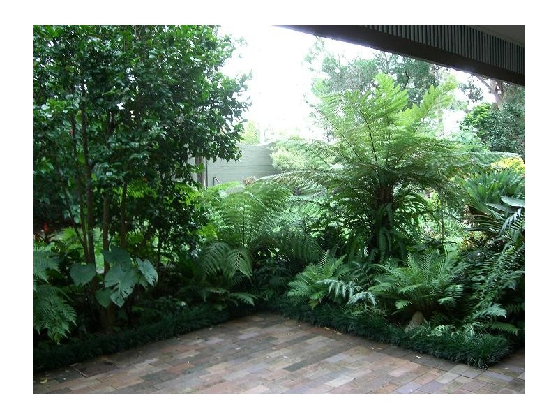 2/177  Pacific Highway, Roseville NSW 2069