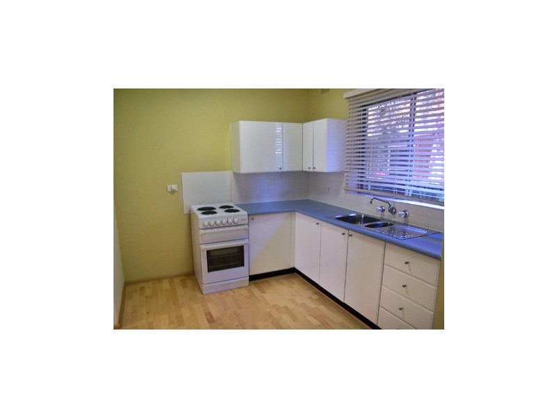 2/17 Loftus Street, Ashfield NSW 2131