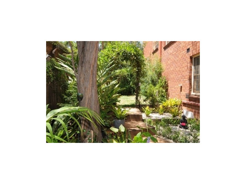 1/4 Loftus Street, Ashfield NSW 2131