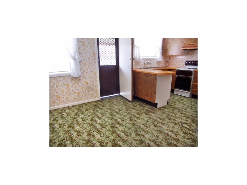 1 Florence Street, Hurlstone Park NSW 2193