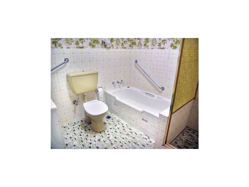 1 Florence Street, Hurlstone Park NSW 2193