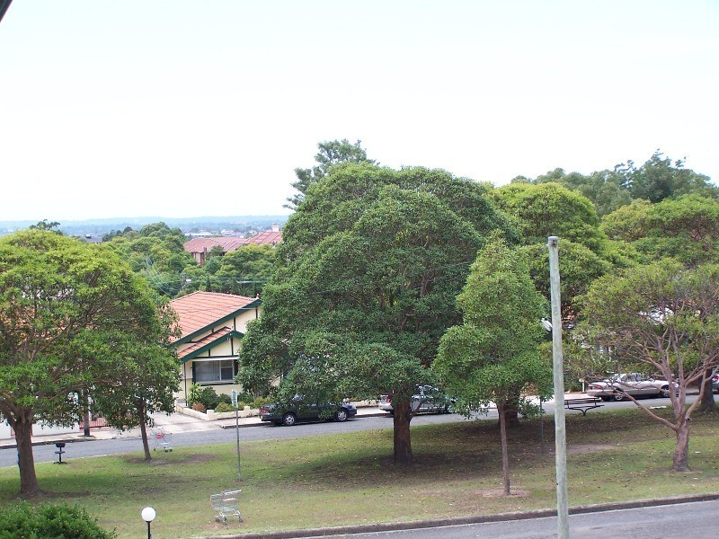 8 Brunswick Pde, Ashfield NSW 2131