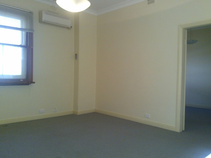 24 Middleton Street, Petersham NSW 2049