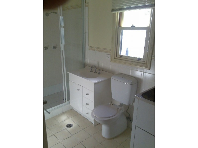24 Middleton Street, Petersham NSW 2049