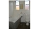 13 Frederick Street, Ashfield NSW 2131