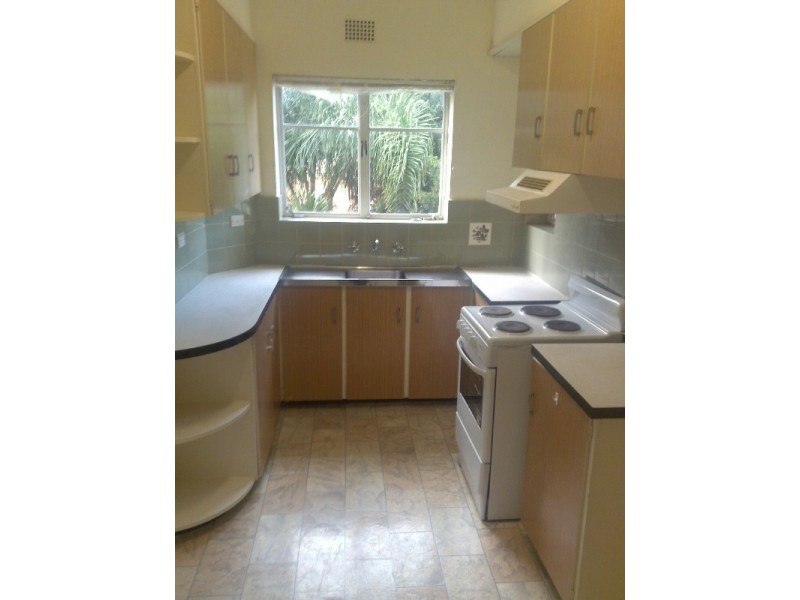 39 Albert Parade, Ashfield NSW 2131