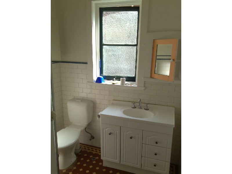 144 Elizabeth Street, Ashfield NSW 2131