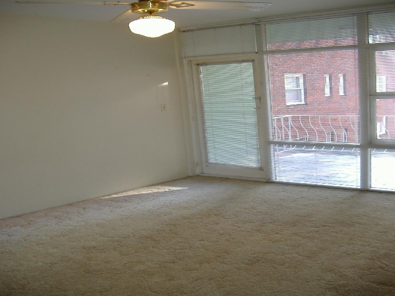 23 Ormond Street, Ashfield NSW 2131