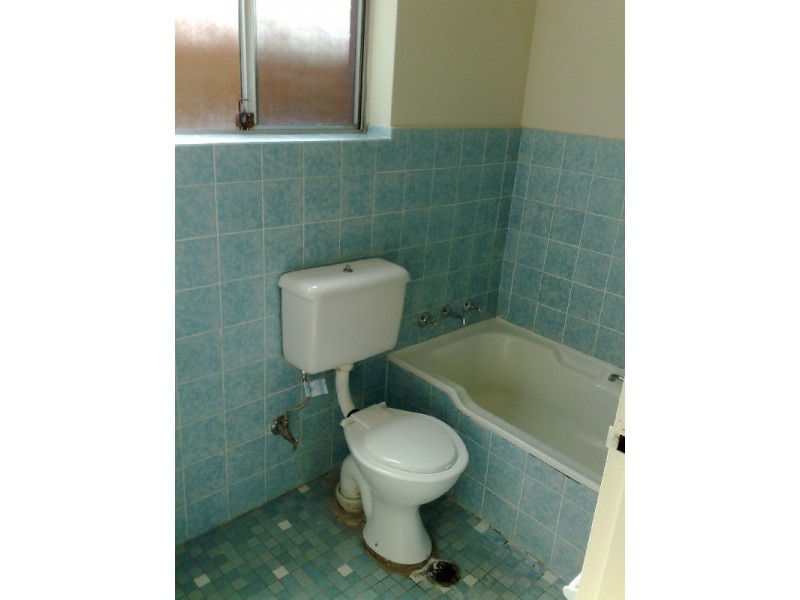 16 Orpington Street, Ashfield NSW 2131