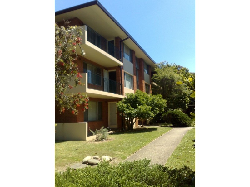 58 Orpington Street, Ashfield NSW 2131