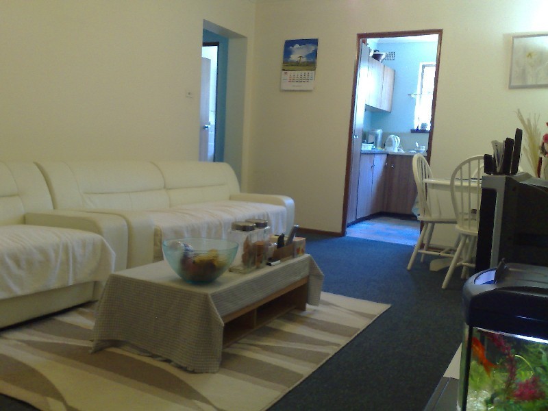 58 Orpington Street, Ashfield NSW 2131