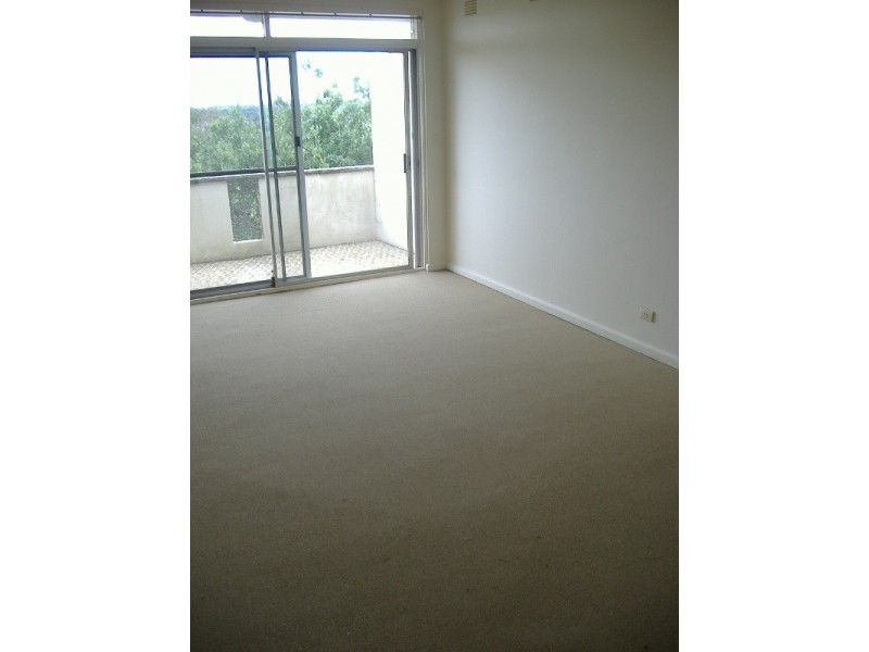 38 Minter Street, Canterbury NSW 2193