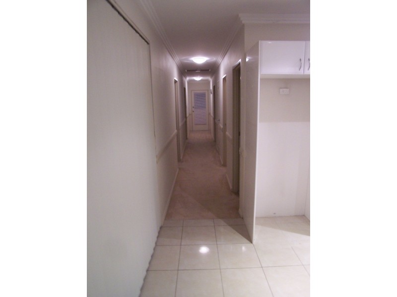 33 Hanks Street, Ashbury NSW 2193