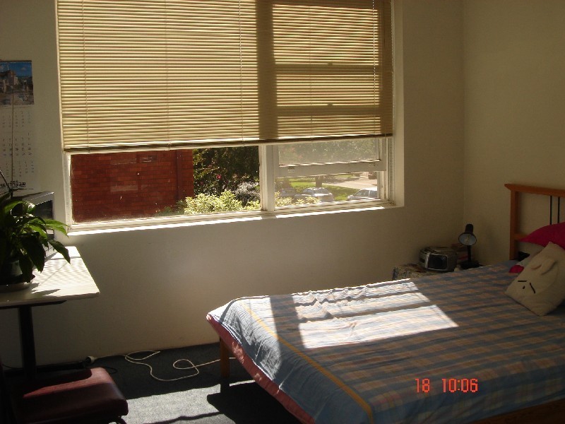 41 Albert Parade, Ashfield NSW 2131