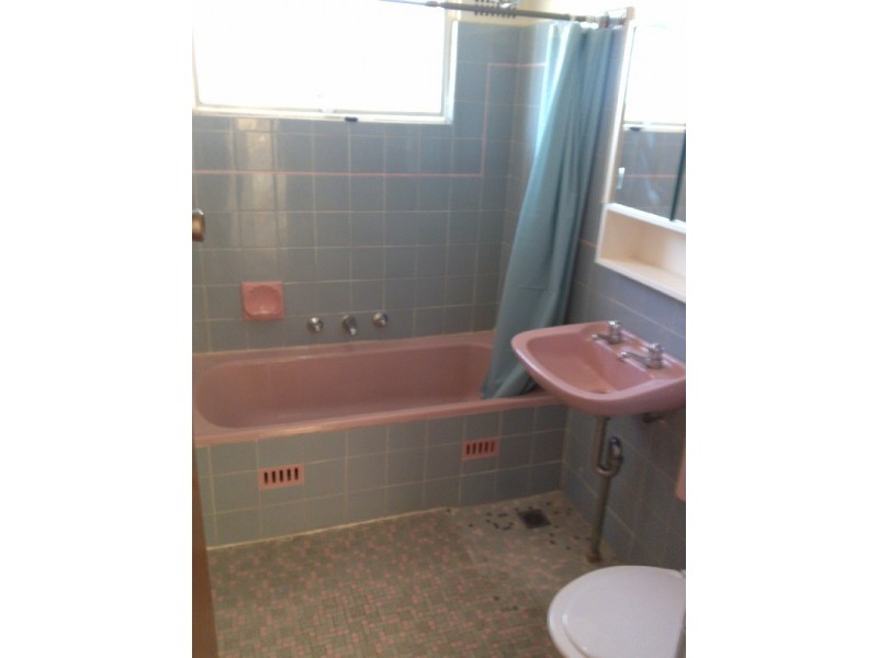 5 Cecil Street, Ashfield NSW 2131