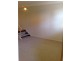 49 Thomas Street, Ashfield NSW 2131