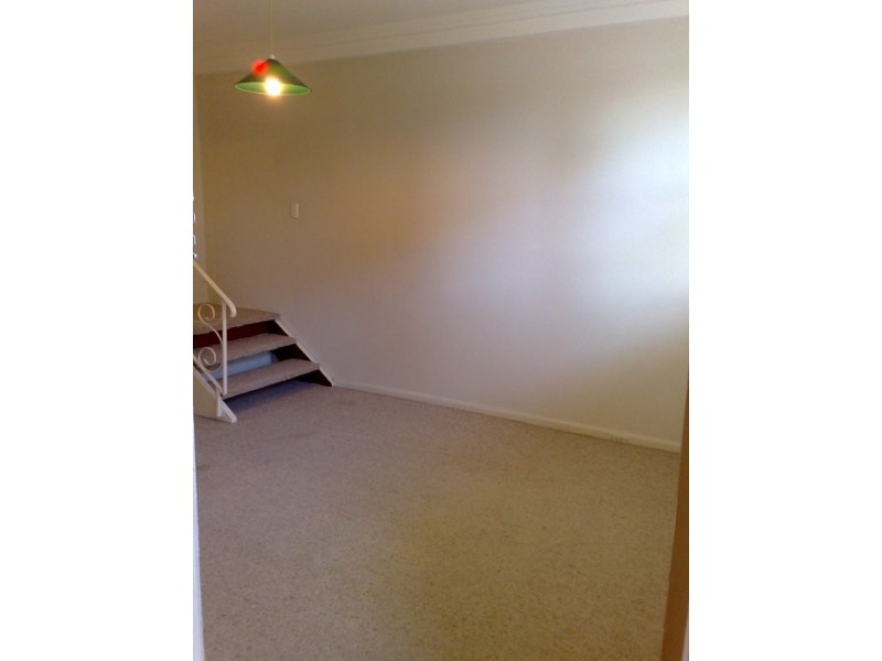 49 Thomas Street, Ashfield NSW 2131