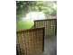 - Norton Street, Ashfield NSW 2131