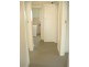 - Norton Street, Ashfield NSW 2131