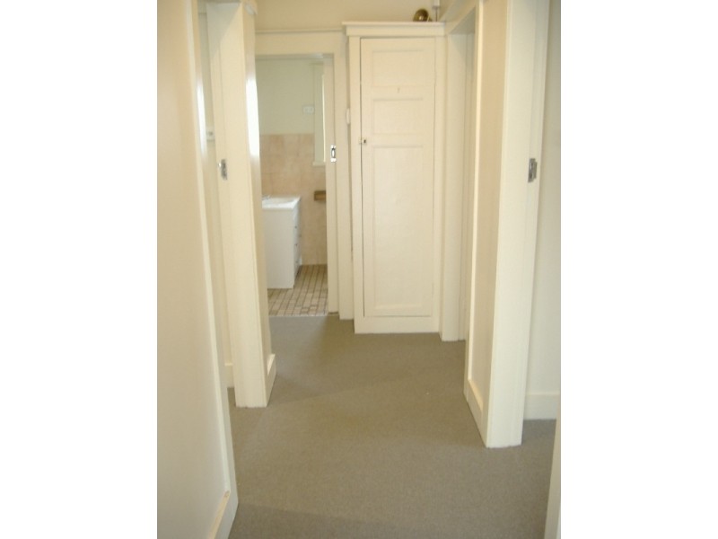 - Norton Street, Ashfield NSW 2131