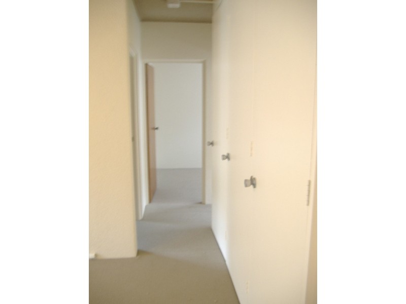 33 Orpington Street, Ashfield NSW 2131