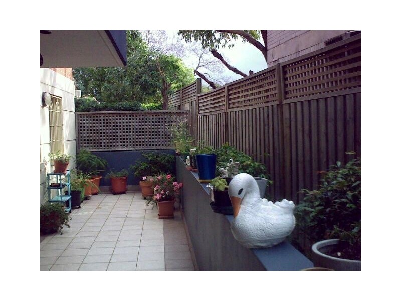 98 Chandos Street, Ashfield NSW 2131