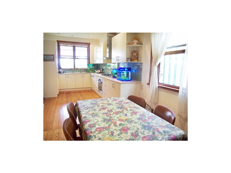 16 Clissold Street, Ashfield NSW 2131