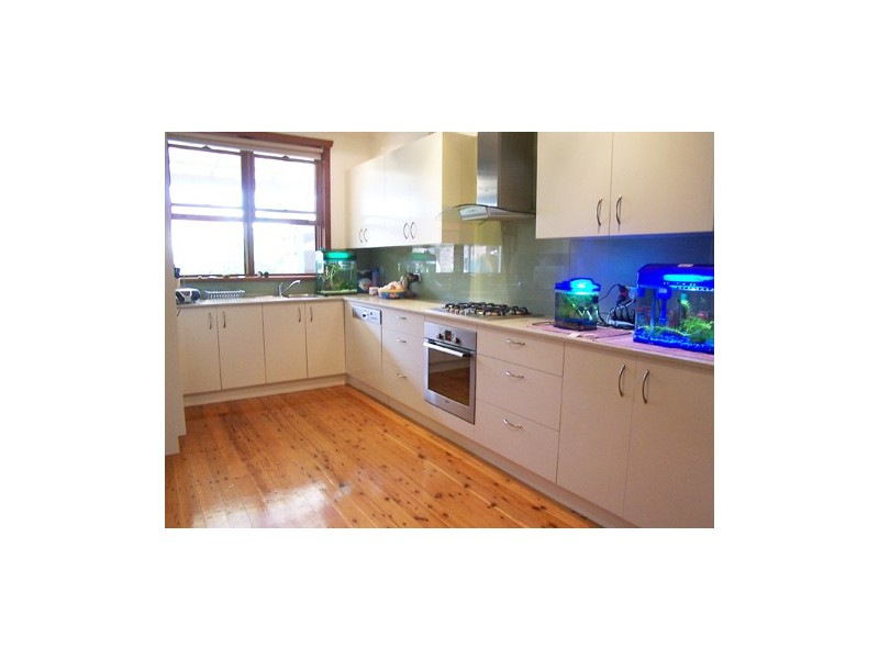 16 Clissold Street, Ashfield NSW 2131