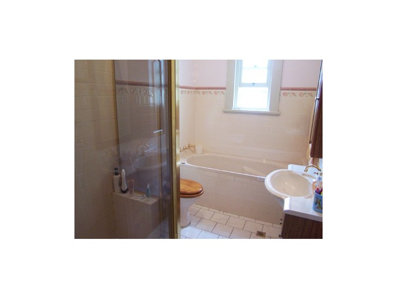 16 Clissold Street, Ashfield NSW 2131