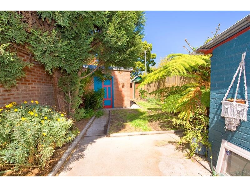 52 Park Avenue, Ashfield NSW 2131
