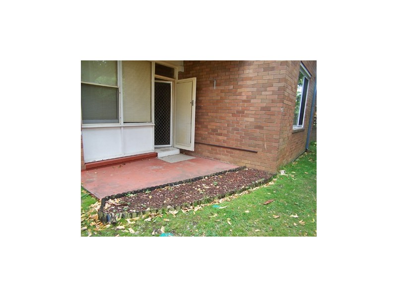 2/2 Blackwood Avenue, Ashfield NSW 2131