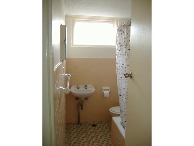 25 Orpington Street, Ashfield NSW 2131