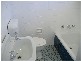 5  Blackwood Avenue, Ashfield NSW 2131