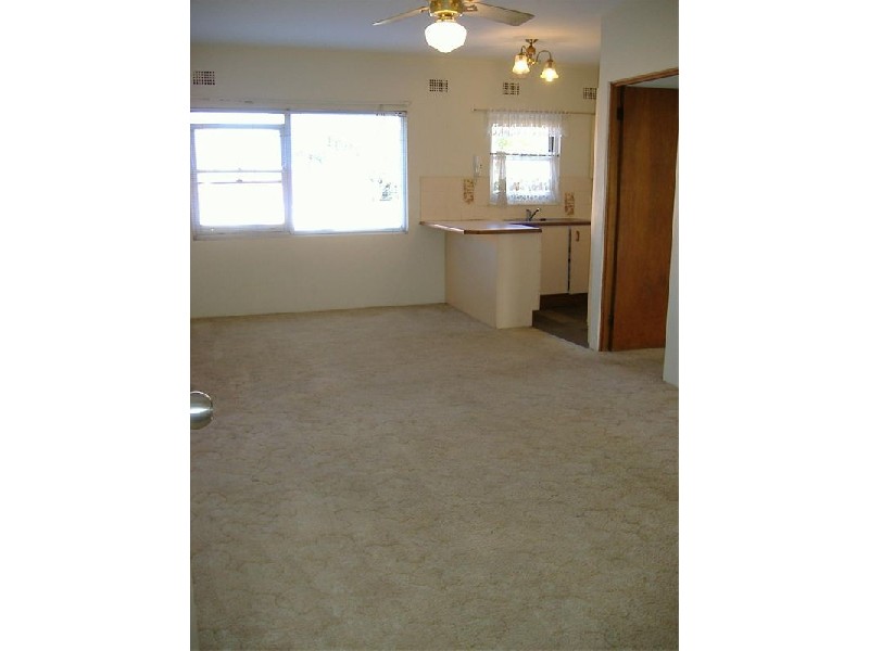 23  Ormond Street, Ashfield NSW 2131