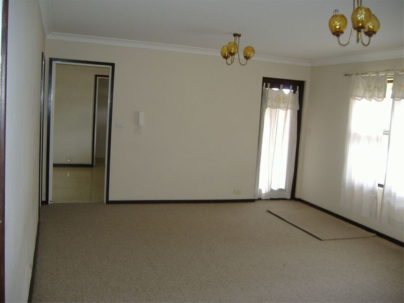 49  Charlotte Street, Ashfield NSW 2131