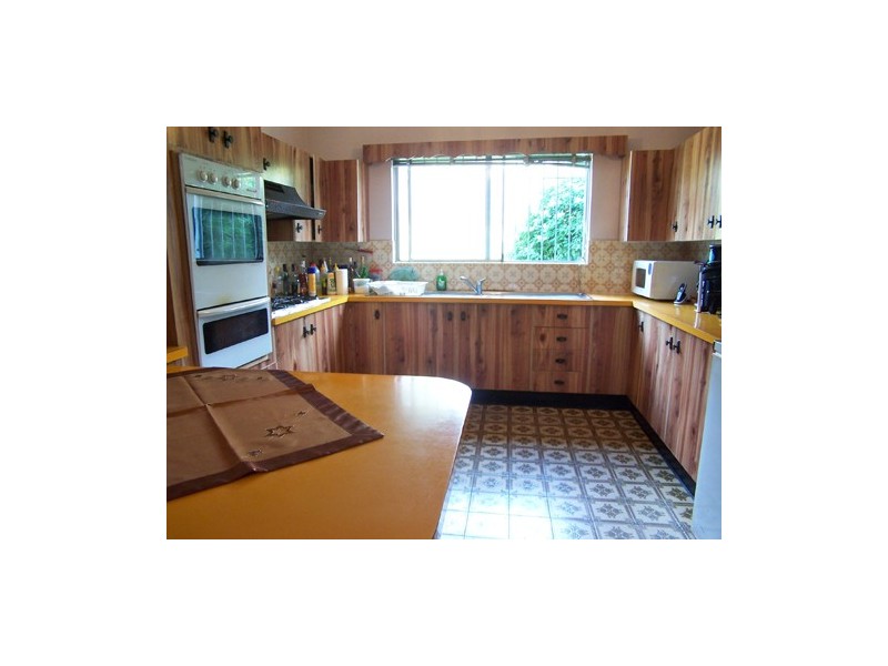 59  Jeffrey Street, Canterbury NSW 2193