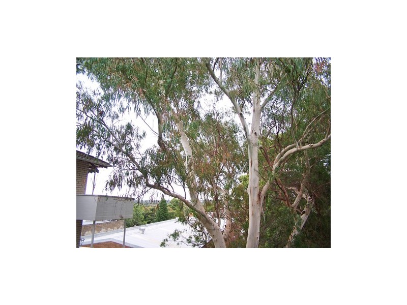 10/13  Brighton Avenue, Croydon Park NSW 2133