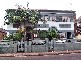 85  Elizabeth Street, Ashfield NSW 2131