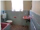 15/49  Alt Street, Ashfield NSW 2131