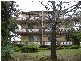 85  Alt Street, Ashfield NSW 2131
