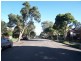 97  Park Avenue, Ashfield NSW 2131
