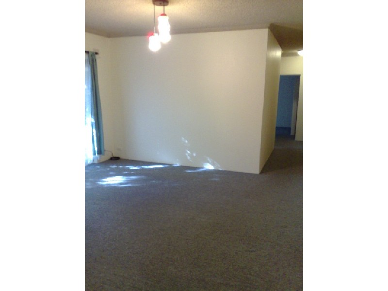 19  Myra Road, Dulwich Hill NSW 2203