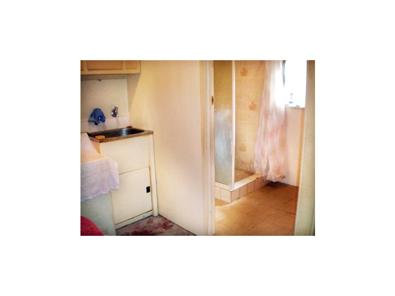 10  Wells Street, Annandale NSW 2038