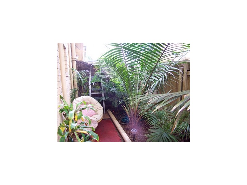 86  Alt Street, Ashfield NSW 2131