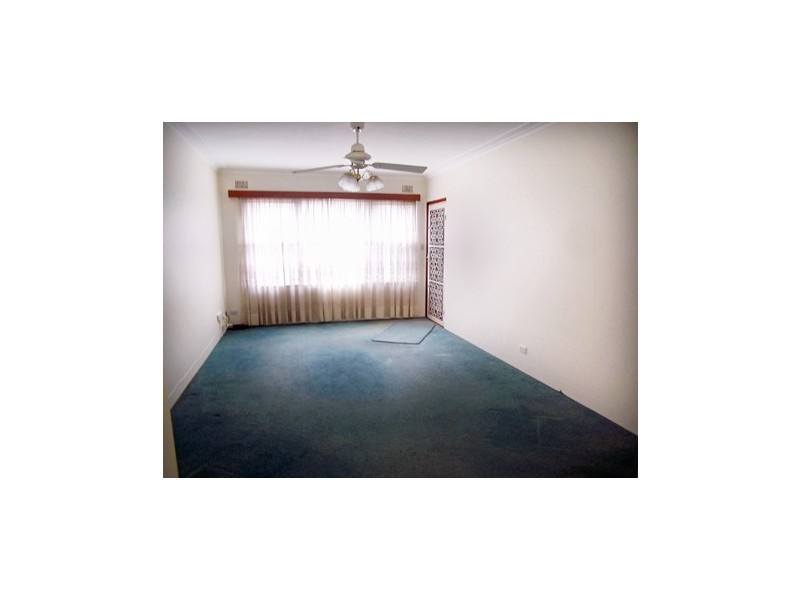 2/15  Orpington Street, Ashfield NSW 2131