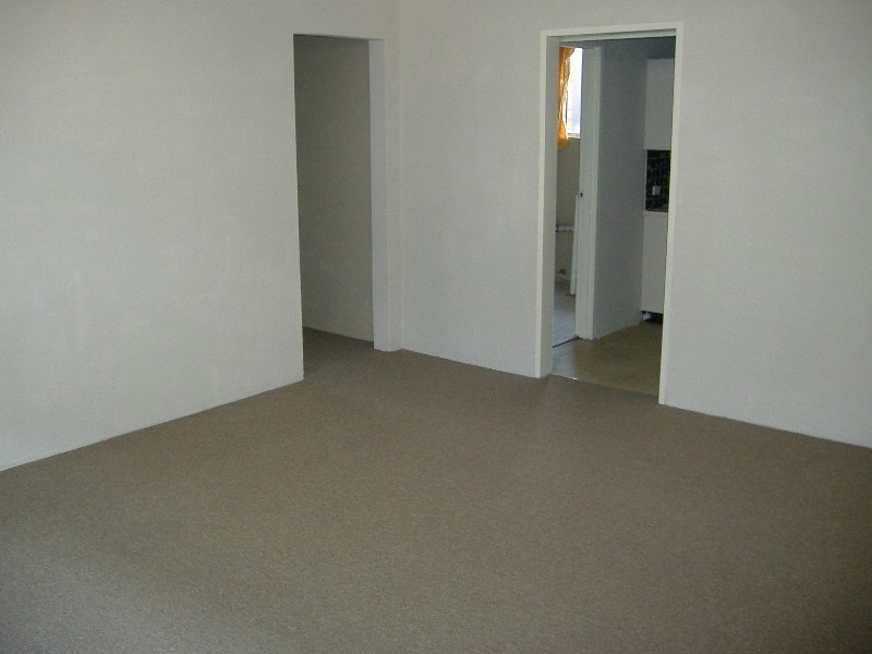 56  Grosvenor Crescent, Summer Hill NSW 2130