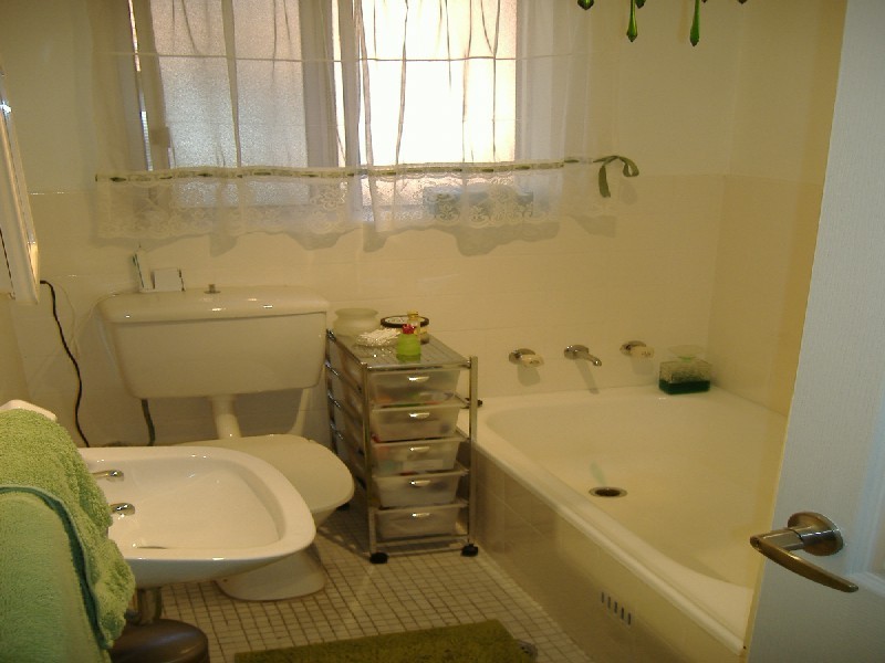 17  Loftus Street, Ashfield NSW 2131