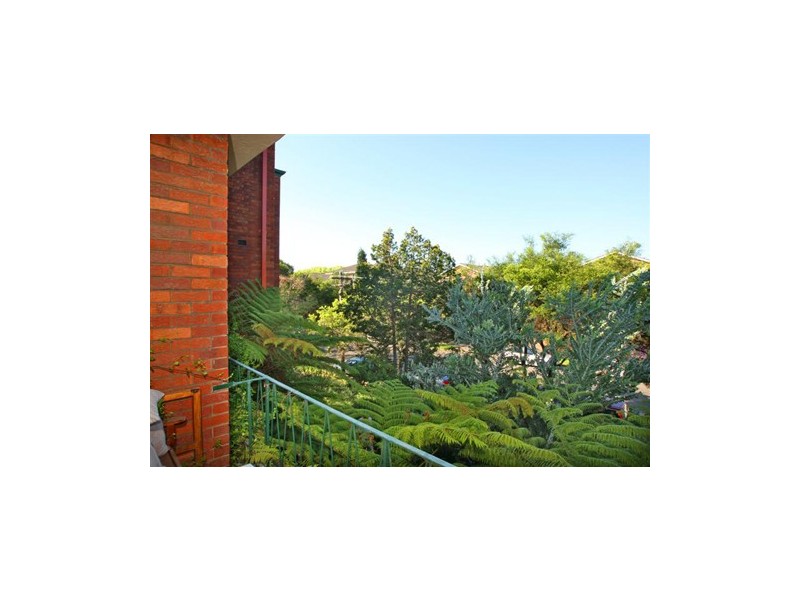 7/4  Loftus Street, Ashfield NSW 2131