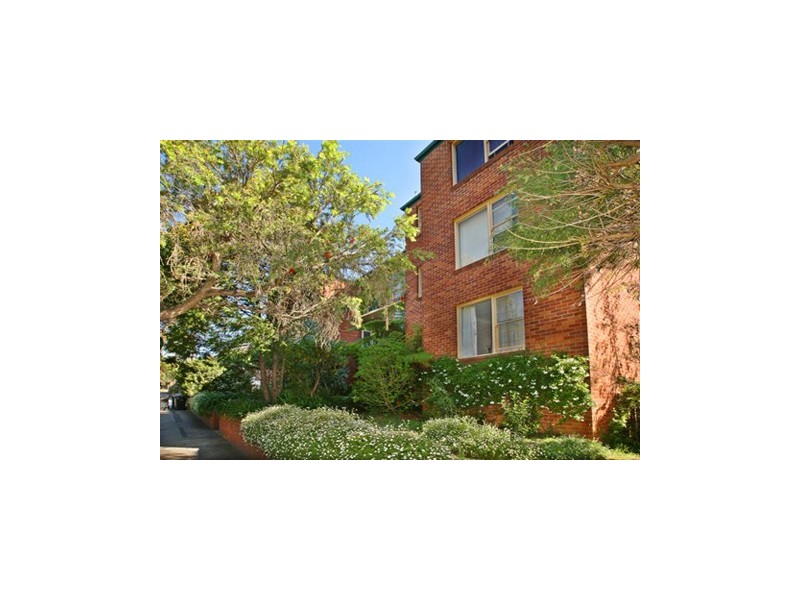 7/4  Loftus Street, Ashfield NSW 2131